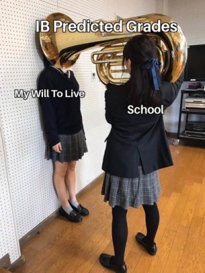 Stress